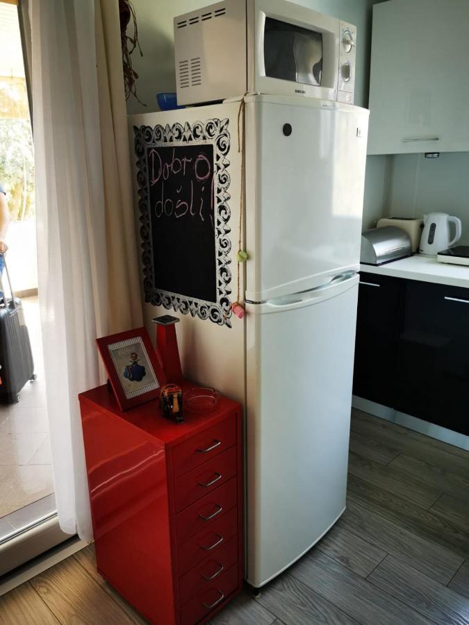 Studio Apartment Rosemary Rovinj Bagian luar foto