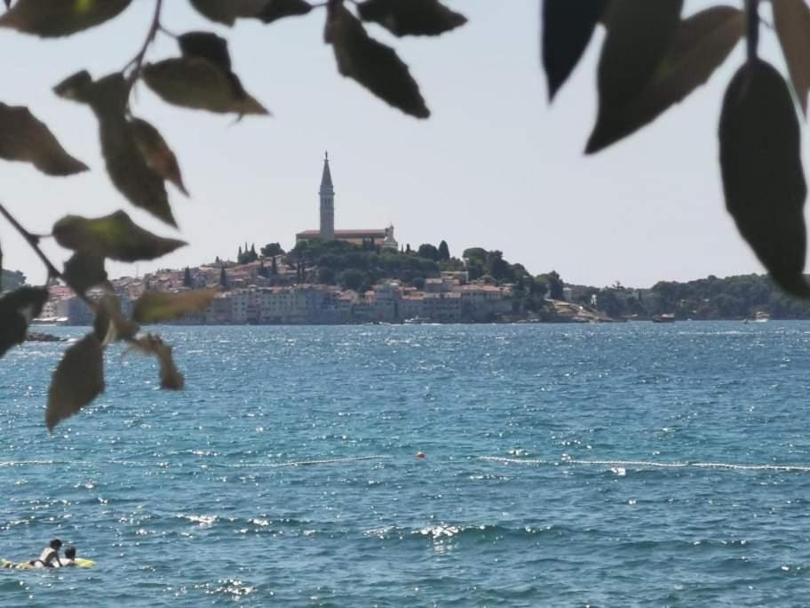 Studio Apartment Rosemary Rovinj Bagian luar foto