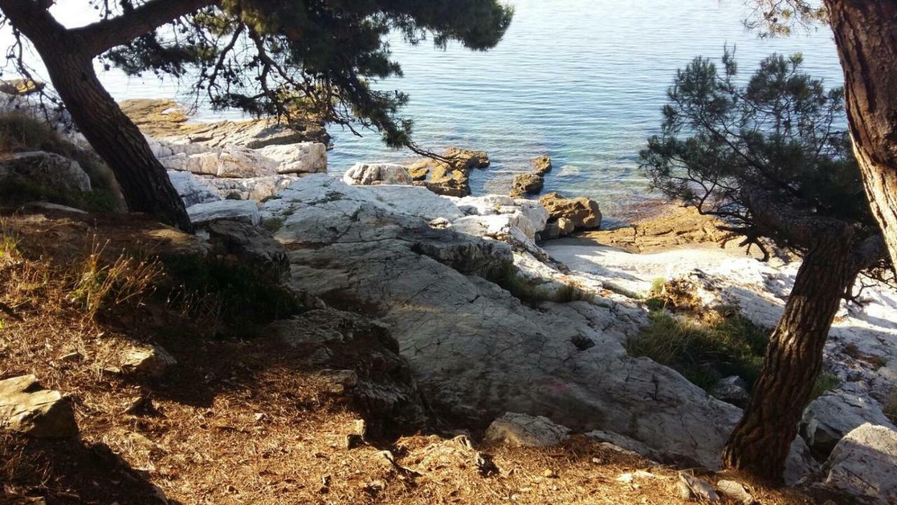 Studio Apartment Rosemary Rovinj Bagian luar foto