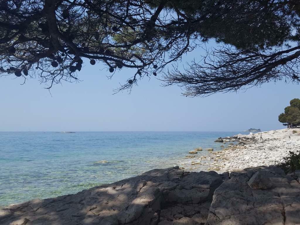 Studio Apartment Rosemary Rovinj Bagian luar foto