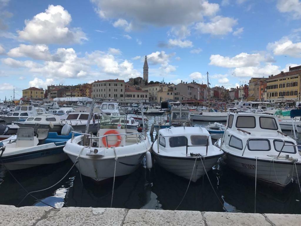 Studio Apartment Rosemary Rovinj Bagian luar foto