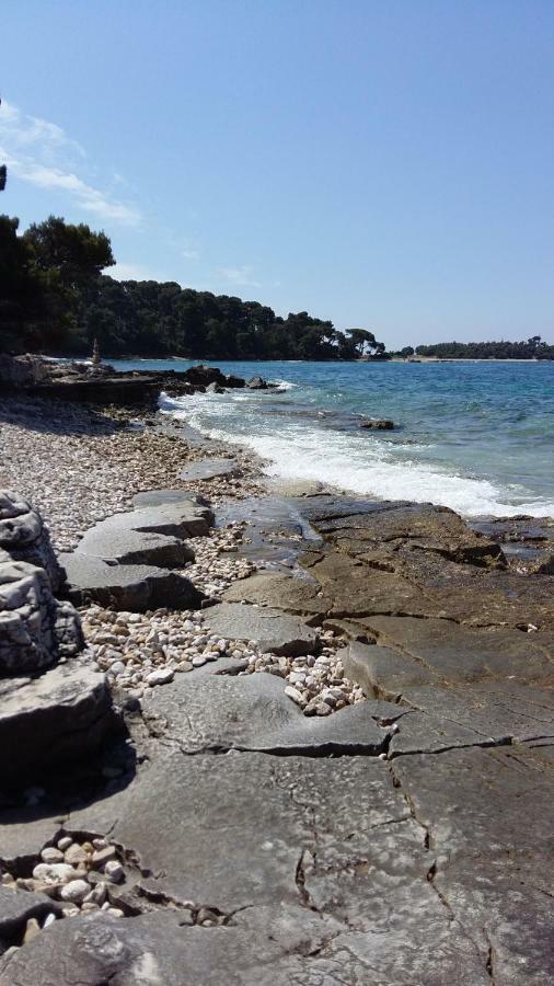 Studio Apartment Rosemary Rovinj Bagian luar foto